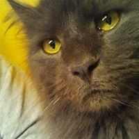 Profile Picture of Erik Feldengut (@efeldengut) on Pinterest