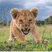 Profile Picture of Joel Salas (@joel.salas.376) on Facebook