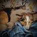 Profile Picture of Cindy Charette (@cindy.charette.33) on Facebook