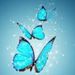Profile Picture of Linda Phillips (@creightonlinda1801) on Pinterest