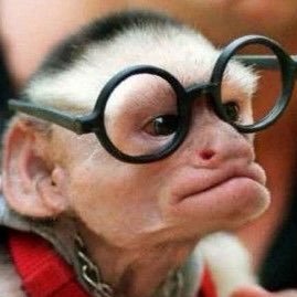 Profile Picture of Trae Aaron Avant (@Traeavant22) on Twitter