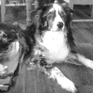 Profile Picture of Gary Down (@Gary-Down) on Facebook