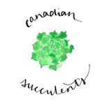 Profile Picture of Molly & Alex (@canadiansucculents) on Instagram