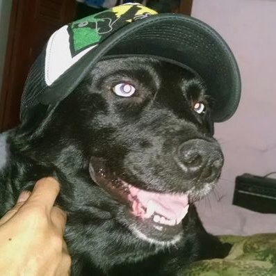 Profile Picture of Andrés Cadavid (@andrescadavid50) on Twitter