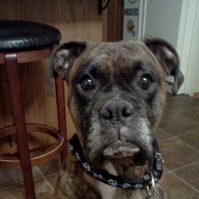 Profile Picture of Kevin C. Night Pipe (@kcnp1) on Twitter