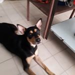 Profile Picture of Omar Giraldo (@omar.giraldo.543) on Instagram