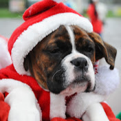 Profile Picture of Robert Piggott (@robertpiggott6534) on Youtube