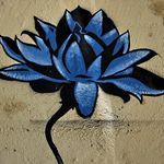 Profile Picture of Thomas Zeglis (@thomas.zeglis) on Instagram