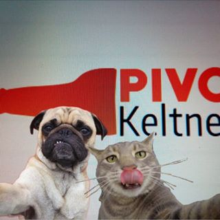 Profile Picture of Jiří Keltner (@jiri.keltner) on Facebook