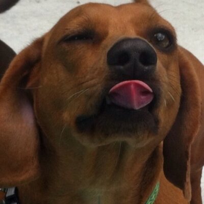 Hillary Helms - Twitter Profile Picture of Hillary Helms (@hillary_helms) on Twitter