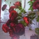 Profile Picture of joyce wright (@joycewright1952) on Instagram