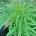 Profile Picture of Liamba Liamba (@liamba.liamba.52) on Facebook