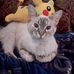 Profile Picture of Andrea Spidell (@andrea.spidell.58) on Facebook