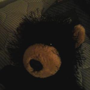 Profile Picture of Cody Seifert (@SeifertCody) on Twitter