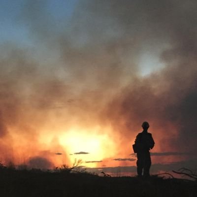 Profile Picture of Corey Dryden (@corey_dryden) on Twitter