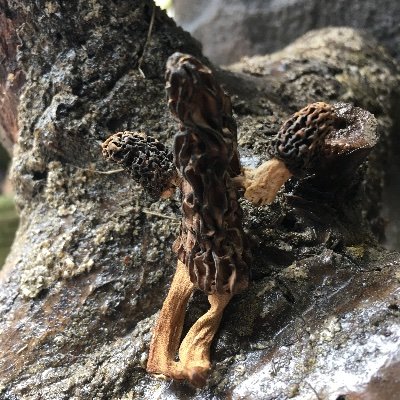 Profile Picture of RandyHastings (@RandyHastings5) on Twitter