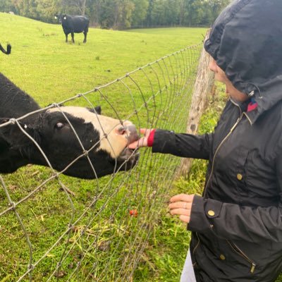 Profile Picture of Jo 🐮 (@lange_langers) on Twitter