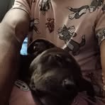 Profile Picture of Delonte Singleton (@delonte.singleton.2025) on Facebook