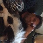 Profile Picture of Brian Seney (@brianseney) on Instagram