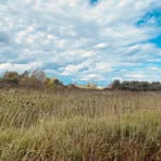 Profile Picture of Nancy Gariépy (@nancy.gariepy.7) on Facebook