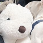 Profile Picture of 현 (@_lovelike_chocolate) on Instagram