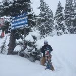 Profile Picture of Josh Mueller (@jm_yosh) on Instagram