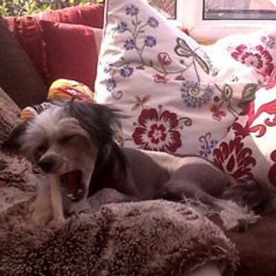 Profile Picture of Jo'Anne Webber (@JoJoscorpio) on Twitter