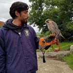Profile Picture of Jeremy Robert Torres (@jeremyroberttorres) on Instagram
