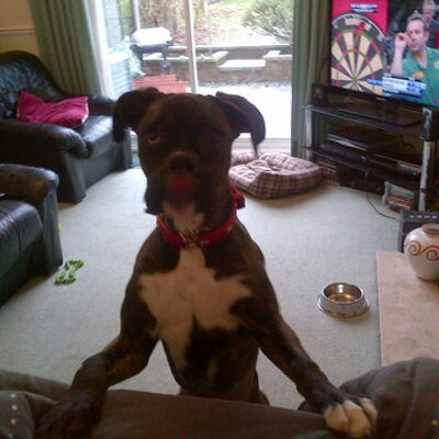 Profile Picture of Matt Tandy (@Tandy_2412) on Twitter