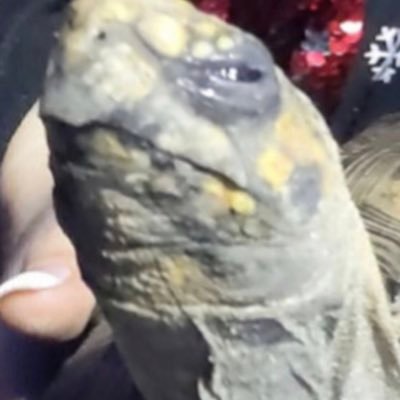 Nathan Blais - Twitter Profile Picture of Nathan Blais (@NathanBlais8) on Twitter