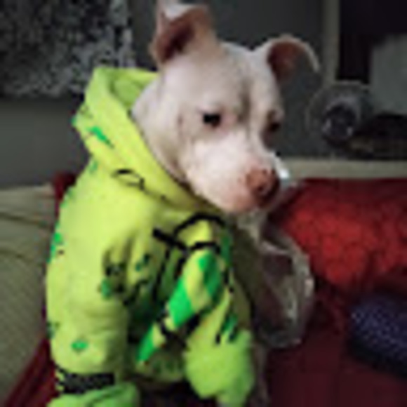 Profile Picture of Amanda Knopik (@aknopik999) on Poshmark