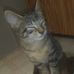 Profile Picture of Haley Chappell (@haley.chappell.5682) on Facebook
