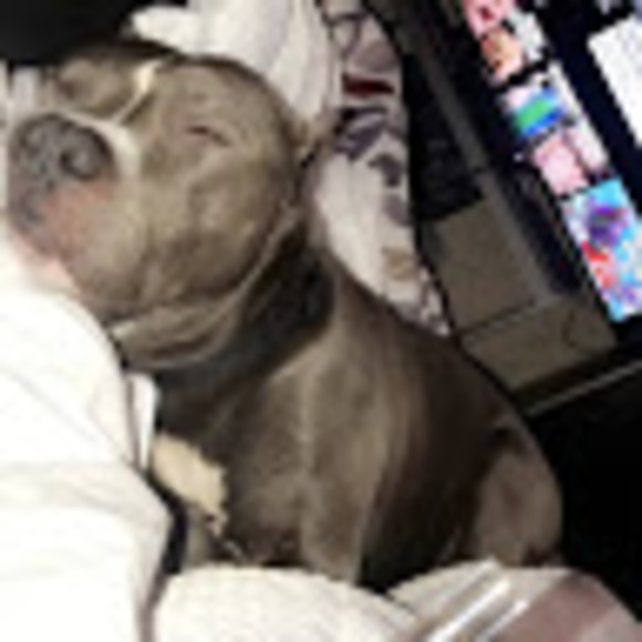 Profile Picture of Janet Chavarria (@janjarwinx) on Poshmark