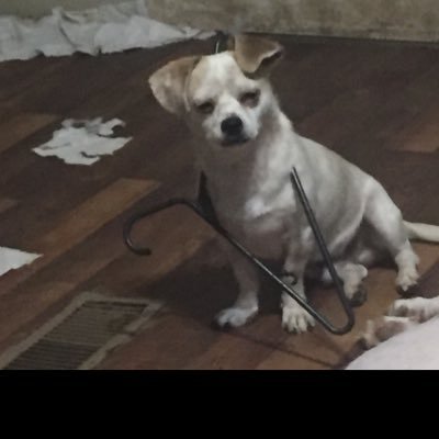 Profile Picture of Eric Platz (@EricPlatz2) on Twitter