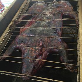 Profile Picture of Jason Magoon (@jasonmagoon) on Pinterest