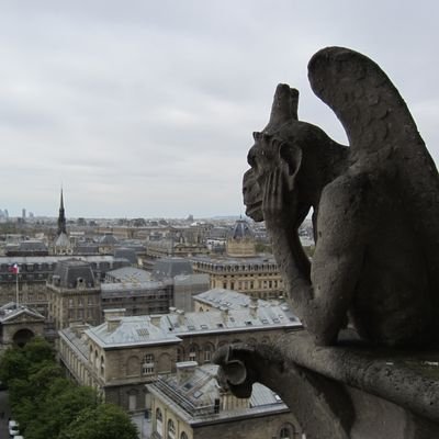 Profile Picture of Miguel Sanchez (@bio_miguelon) on Twitter