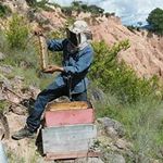 Arcadio Ortiz Rojas - Instagram Profile Picture of Arcadio Ortiz Rojas (@arcadioortizrojas) on Instagram