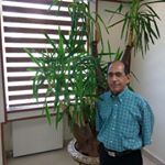 Profile Picture of Masoud Talebi (@tali.asalam) on Instagram