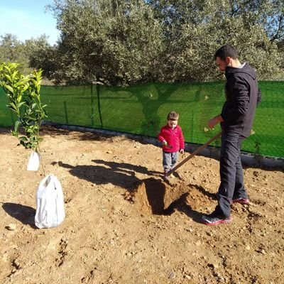 Profile Picture of Julio Moreno Prieto (@JulilloK) on Twitter