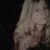 Profile Picture of Allison Mcnabb (@allisonmcnabb5) on Pinterest