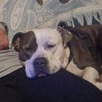 Profile Picture of Jon Ludwick (@ludwickjon) on Instagram