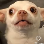 Profile Picture of Branko Radic (@branko.radic.96) on Facebook