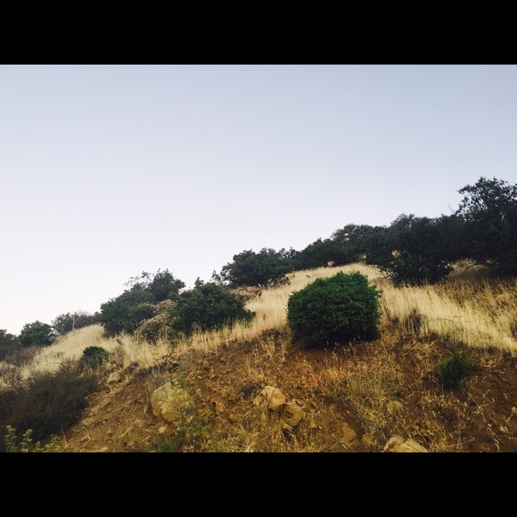 Profile Picture of Peggy Fowler (@pfowler04) on Poshmark