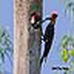 Profile Picture of Doug Mccoy (@dougmccoyphotography.com) on Flickr