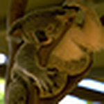 Profile Picture of c-u-online (@c-u-online) on Flickr