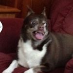 Profile Picture of Tyler Harman (@harman_117) on Instagram