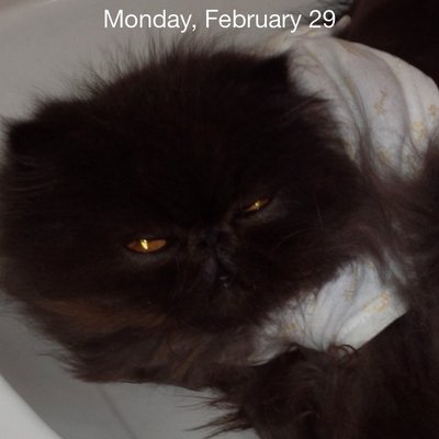 Sharon Hull - Twitter Profile Picture of Sharon Hull (@sharonhull_hull) on Twitter