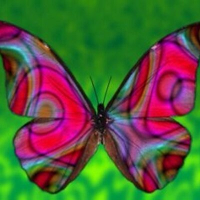 Profile Picture of Jo A Pruitt (@pruitt_jo) on Twitter