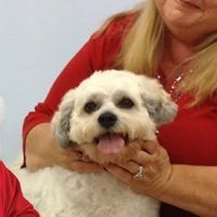 Profile Picture of Beverly Steele (@bevoflorida) on Pinterest
