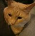 Profile Picture of Darren Michael Caudill (@darren.caudill.9) on Facebook